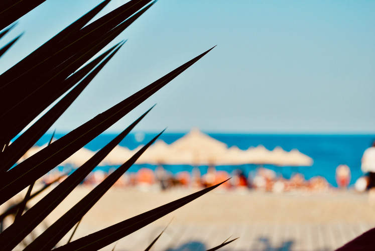 Beach on the back of my mind.jpeg
