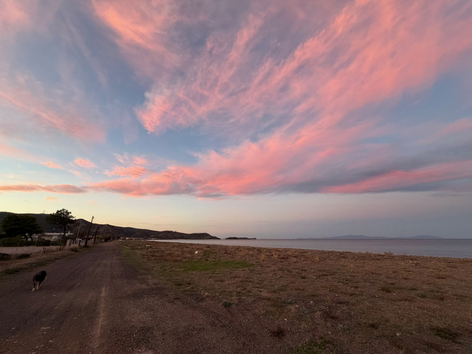 Sunset walk.jpeg