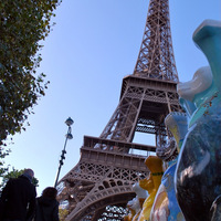bear-the-eiffel_8093779856_o.jpg