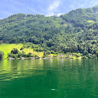IMG_2949.jpg