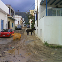 dsc00033.jpeg