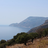IMG_2095.jpeg