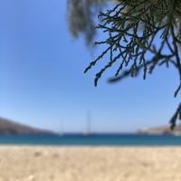 IMG_0658.JPEG