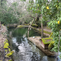 IMG_4113.jpeg