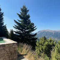 IMG_3339.jpeg