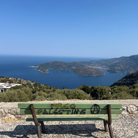 IMG_1830.jpeg