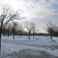 DSC_4618.JPG
