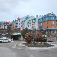 DSC_4740.JPG