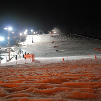 DSC_4787.JPG