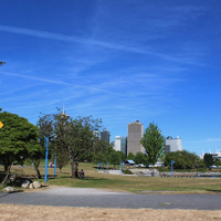 IMG_2800.jpeg