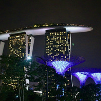 IMG_4040.jpeg